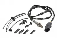 Sonda Lambda (numar Fire 5, 1500mm) Potrivit Audi A3, A4 B5, A4 B6, A4 B7, A6 C5, A8 D3, Tt; Bentley Continental, Continental Flying Spur; Seat Exeo, Exeo St, Ibiza Iii 1.4-6.0 11.94-03.16
