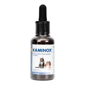 Kaminox, supliment functie renala pisici, 60 ml