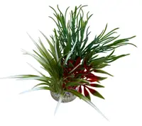 Sydeco Planta Aqua Oasis 24 cm 385007