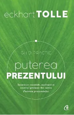 Puterea prezentului. Ghid practic ed.3