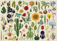 Puzzle 1000 de piese - Botanicum