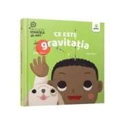 Ce este gravitatia