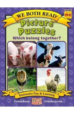 Picture Puzzles