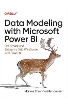 Data Modeling with Microsoft Power Bi: Self-Service and Enterprise Dwh with Power Bi