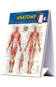 Anatomy Easel Book: A Quickstudy Reference Tool