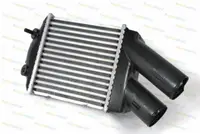 Intercooler Dacia Logan, Logan Mcv, Sandero; Renault Logan I, Megane I, Megane I Classic, Megane I Coach, Megane Scenic, Scenic I 1.5d 1.9d 2.0 Dupa 1996