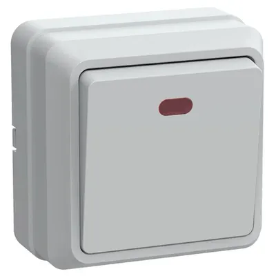 VS20-1-1-OB Buton simplu -buton with the indicator10A OKTAVA (Alb)
