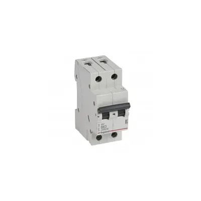 Siguranta automata MCB RX³ 6000 - 2P - 230/400 V~ - 63 A - B curba - alimentare tip furca