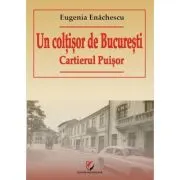 Un coltisor de Bucuresti. Cartierul Puisor