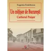 Un coltisor de Bucuresti. Cartierul Puisor