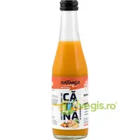 Nectar de Catina cu Ghimbir Ecologic/Bio 250ml