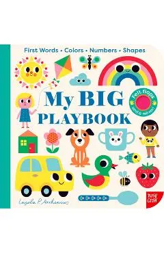 My Big Playbook