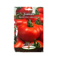 Seminte tomate Montecarlo F1 - Default Title