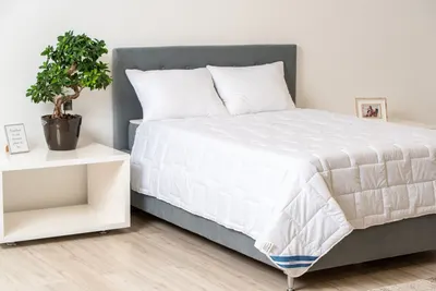 Set Somnart Confort cu pilota 200 x 220 cm si 2 perne 50 x 70 cm din microfibra