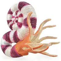 Figurina pictata manual Pravitoceras