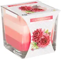 Lumânare parfumată Bispol Aura - Cactus Flower, 170 g