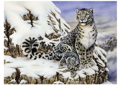 Set de pictură cu vopsele acrilice Royal - Regele Alpilor, 39 x 30 cm