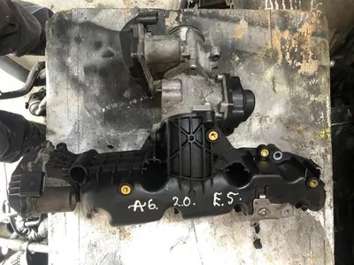 Galerie admisie cu clapeta 03l130319d Audi A6 (2004-2011) [4F2, C6] 2.0 tdi