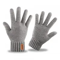 Manusi De Iarna Tactile Iwarm ST0016, Marime 22cm, Gri