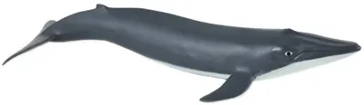 Figurina Papo Marine Life – Mica balena albastra