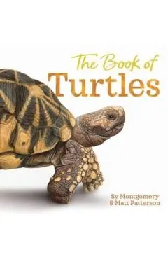 The Book of Turtles