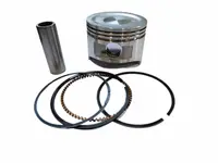 set piston cu segmenti pentru motopompa