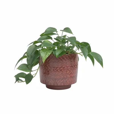 Ghiveci decorativ din ceramică handmade ø 21 cm Minerva – Artevasi