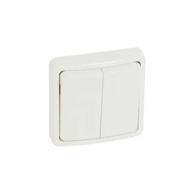 Switch Plexo 66 - 2 module - 2 way - 20 A 250 V~ - flush mounting