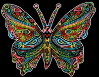 Tablou de colorat ColorVelvet - Fluture, 29,7 x 21 cm
