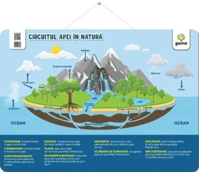 Circuitul apei in natura (poster)