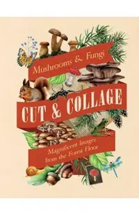 Cut & Collage Mushrooms and Fungi: Magnificent Images from the Forest Floor -