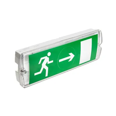 Emergency LED mains lamp fixture SAHER LED DUO
