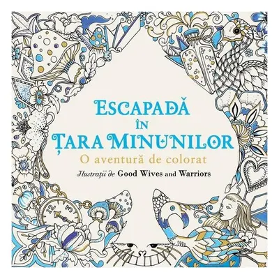 Escapadă în Țara Minunilor - Paperback brosat - Florin Bican