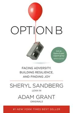 Option B: Facing Adversity, Building Resilience, and Finding Joy