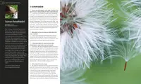 Digital Photography Masterclass