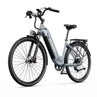 Bicicletă electrică pentru adulți Onesport OT05Pro 250W 36V22.5AH baterie