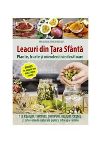 Leacuri din Țara Sfântă - Paperback brosat