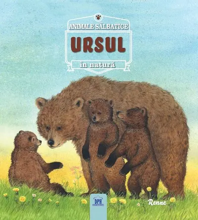 Ursul - Paperback brosat - Renée Rahir