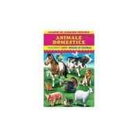 Animale domestice. Placarda, loto, desene de colorat