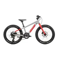 Bicicleta Copii Raymon Yanga 20 Pro 2025 - 20 Inch, Gri - Altus