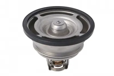 Termostat lichid racire (76 C) potrivit VOLVO 8300, 9300, 9400, B9, FH, FM, FM9 D13A400-G9A300 12.01