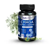 Chaga (Ciuperca Siberiana) 30cps