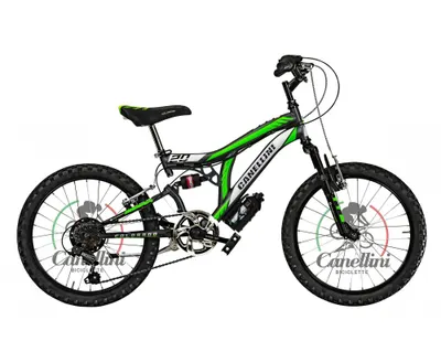Bicicletă pentru băieți Canellini COLORADO 20" - Titan/Verde