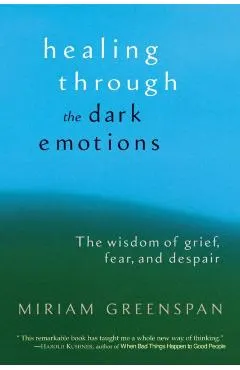 Healing Through the Dark Emotions: The Wisdom of Grief, Fear, and Despair