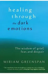 Healing Through the Dark Emotions: The Wisdom of Grief, Fear, and Despair