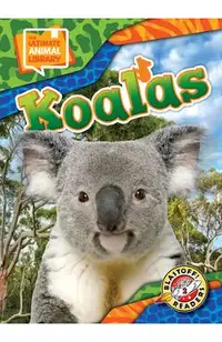 Koalas