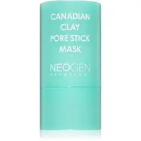 Neogen Dermalogy Canadian Clay Pore Stick Mask masca pentru curatare profunda pentru micsorarea porilor