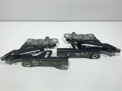 Set balamale capota fata culoare black sapphire metallic (475) 139896 10 BMW Seria 3 (2012-2019) [F31]