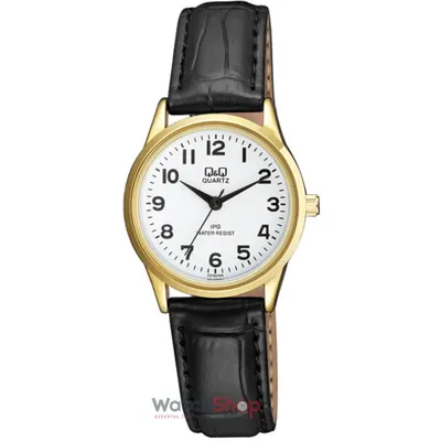 Ceas Q&q Clasic C215j104y