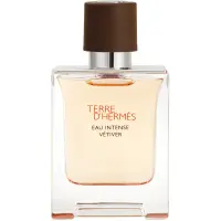 HERMÈS Terre d’Hermès Eau Intense Vétiver Eau de Parfum pentru bărbați 50 ml